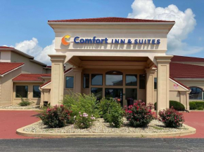 Comfort Inn & Suites at I-74 and 155, Morton